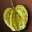 etc_fruit_yellow_i00_0.png