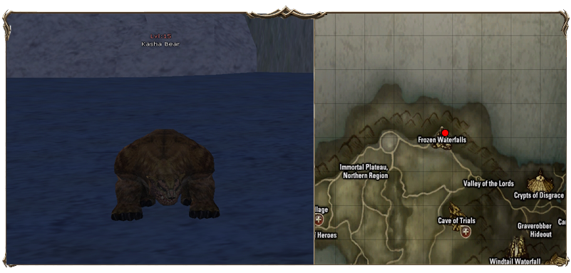 Kasha%20Bear.png