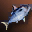 Small Blue Nimble Fish - Upper Grade