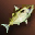 Yellow Nimble Fish